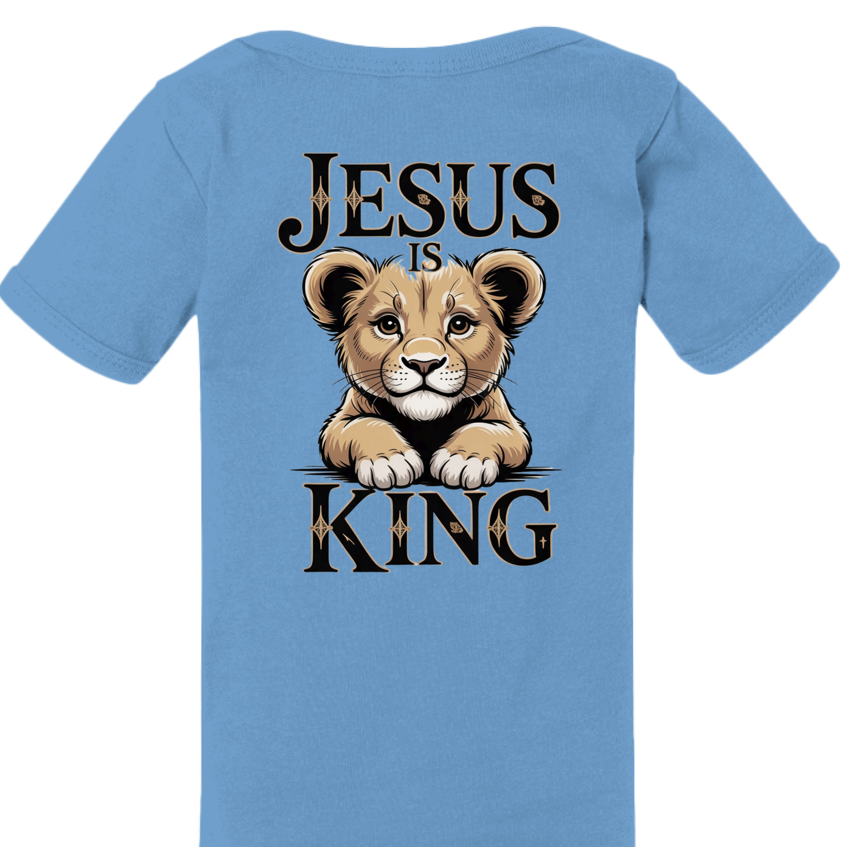 HTHR COLUM BLUE - BACK